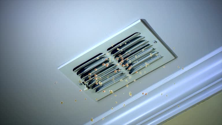 Best Dryer Vent Cleaning Services  in Brecksville, OH